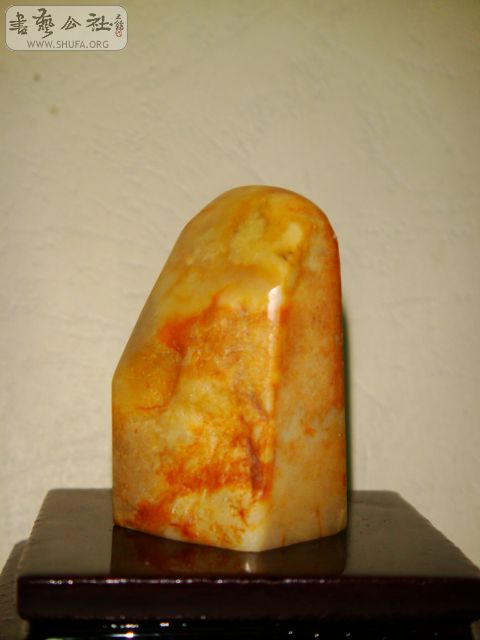 DSC07566.JPG