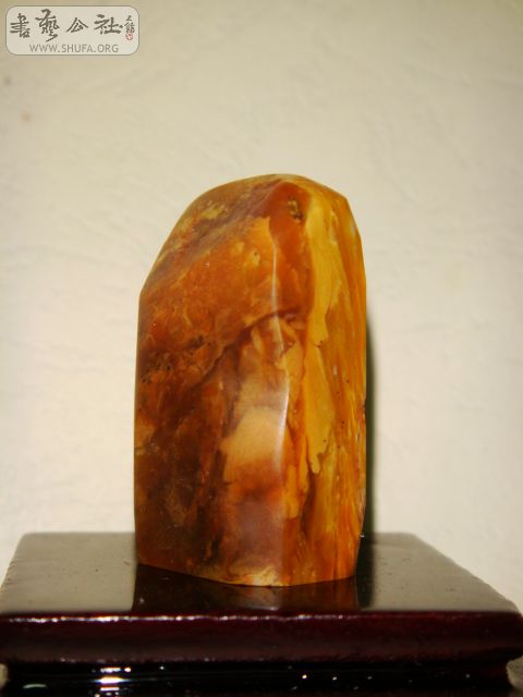 DSC07568.JPG
