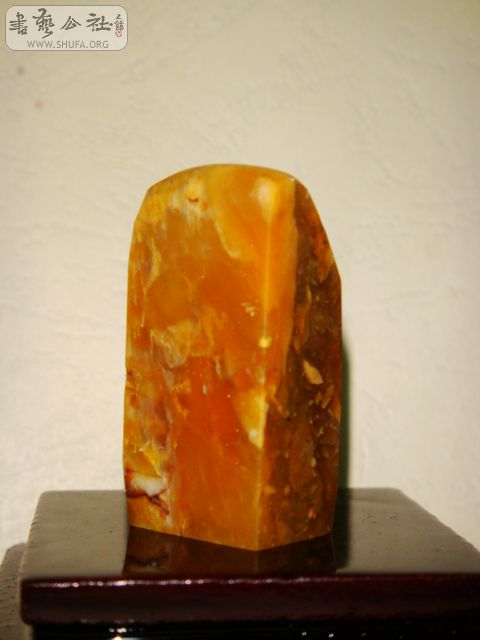 DSC07569.JPG