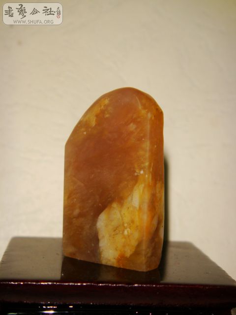 DSC07571.JPG
