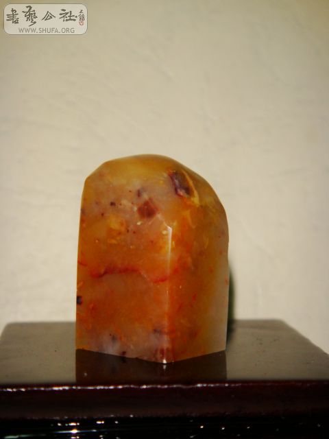 DSC07572.JPG