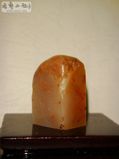DSC07573.JPG