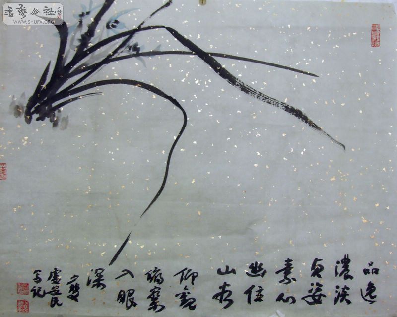 DSCF0772.JPG