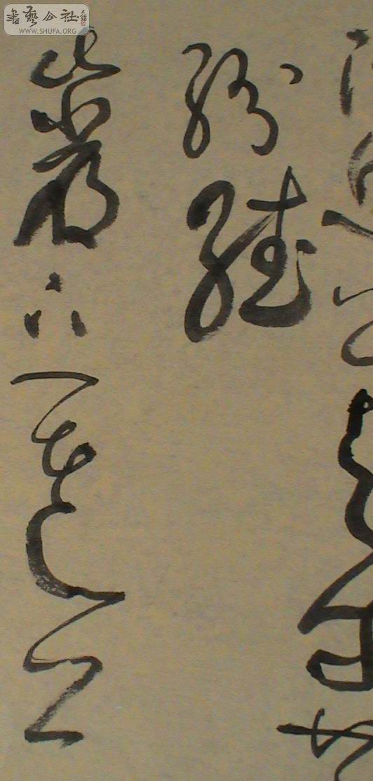 DSC01309.JPG