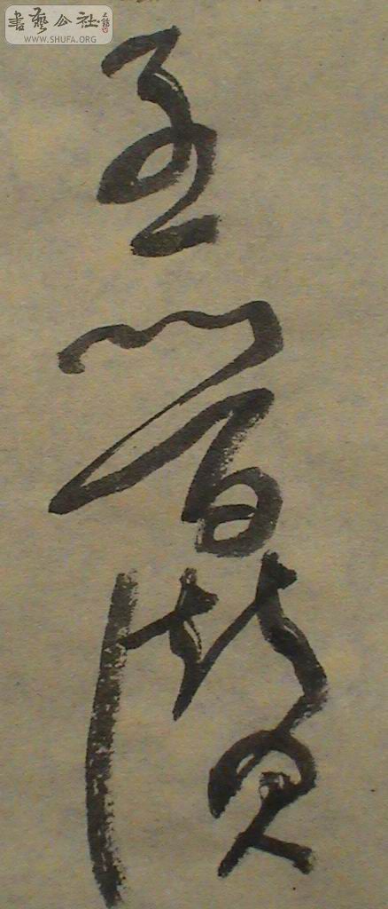 DSC01310.JPG