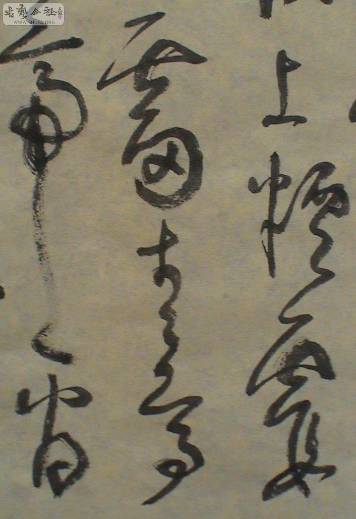 DSC01306.JPG