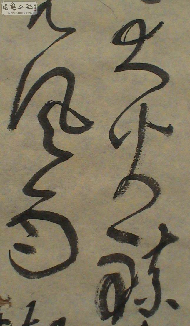 DSC01307.JPG