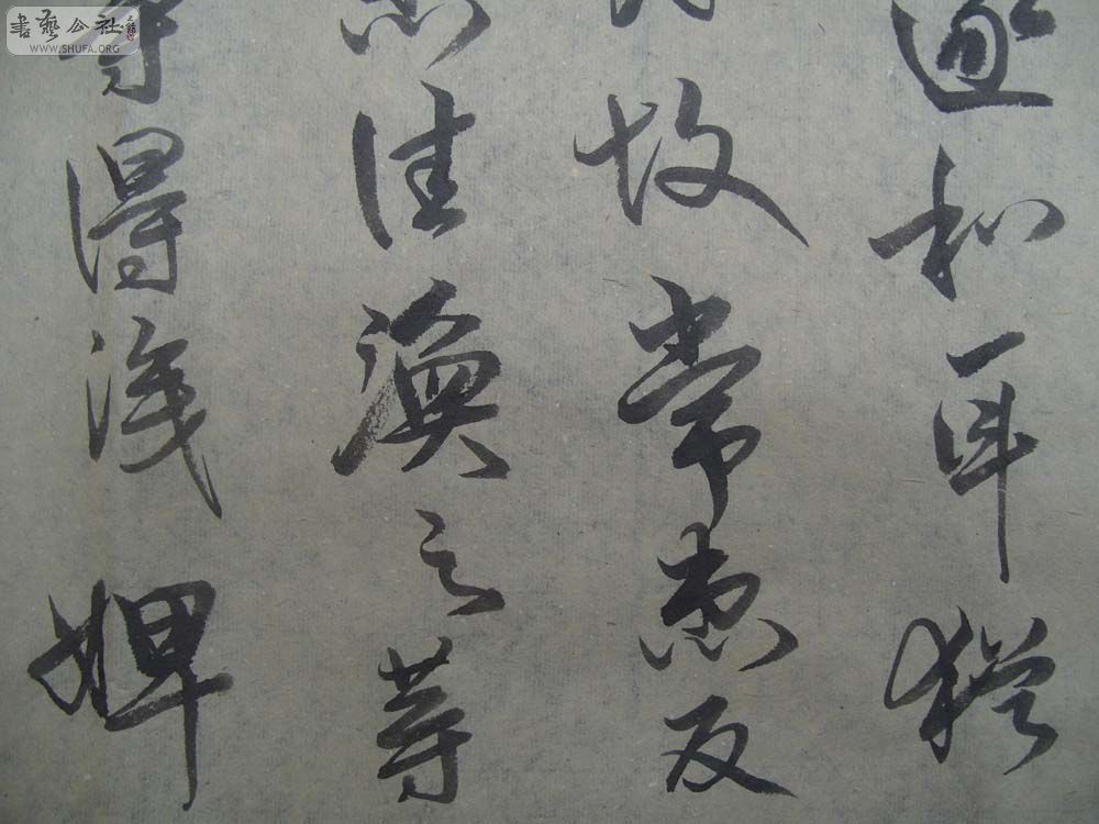 S1054313.JPG