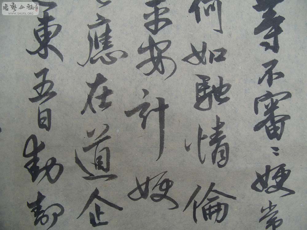 S1054311.JPG