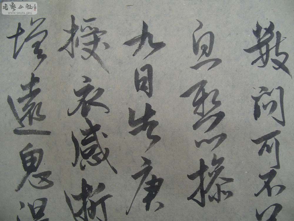 S1054314.JPG