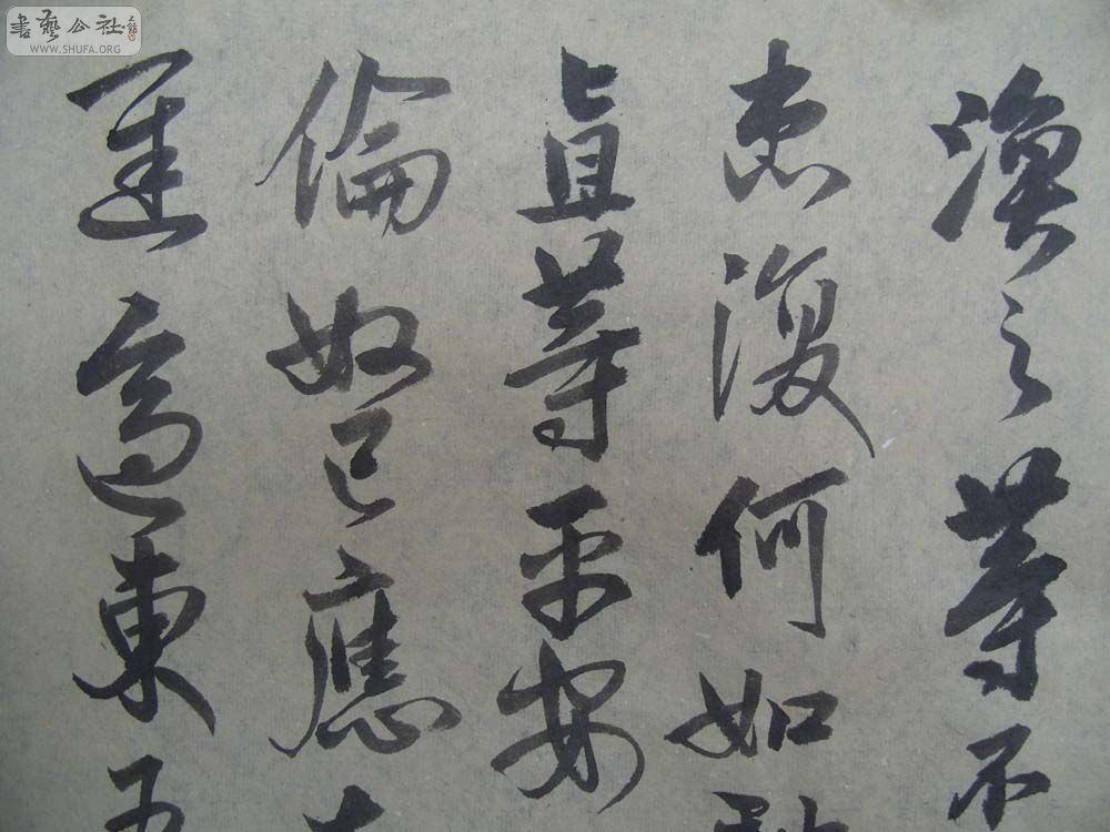 S1054310.JPG