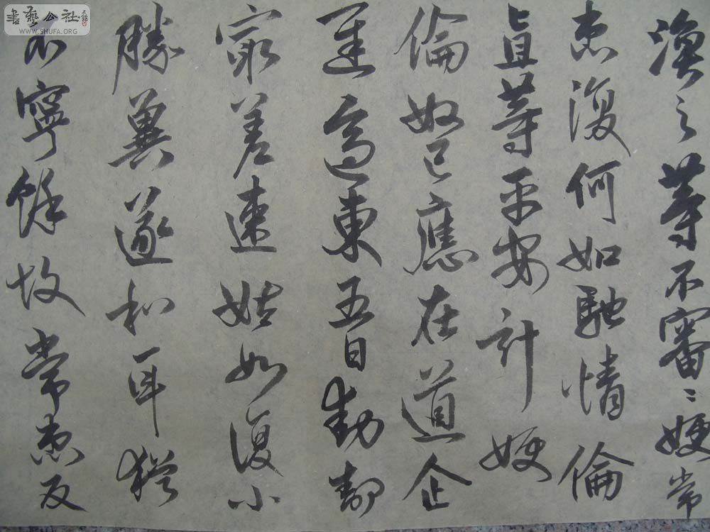 S1054308.JPG