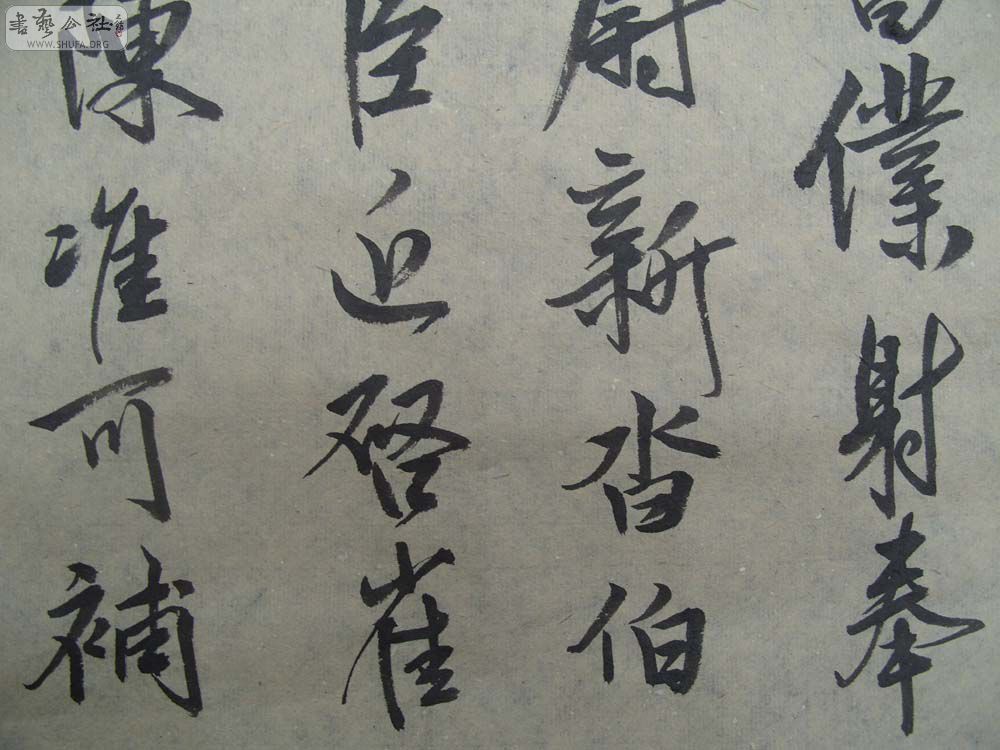 S1054336.JPG