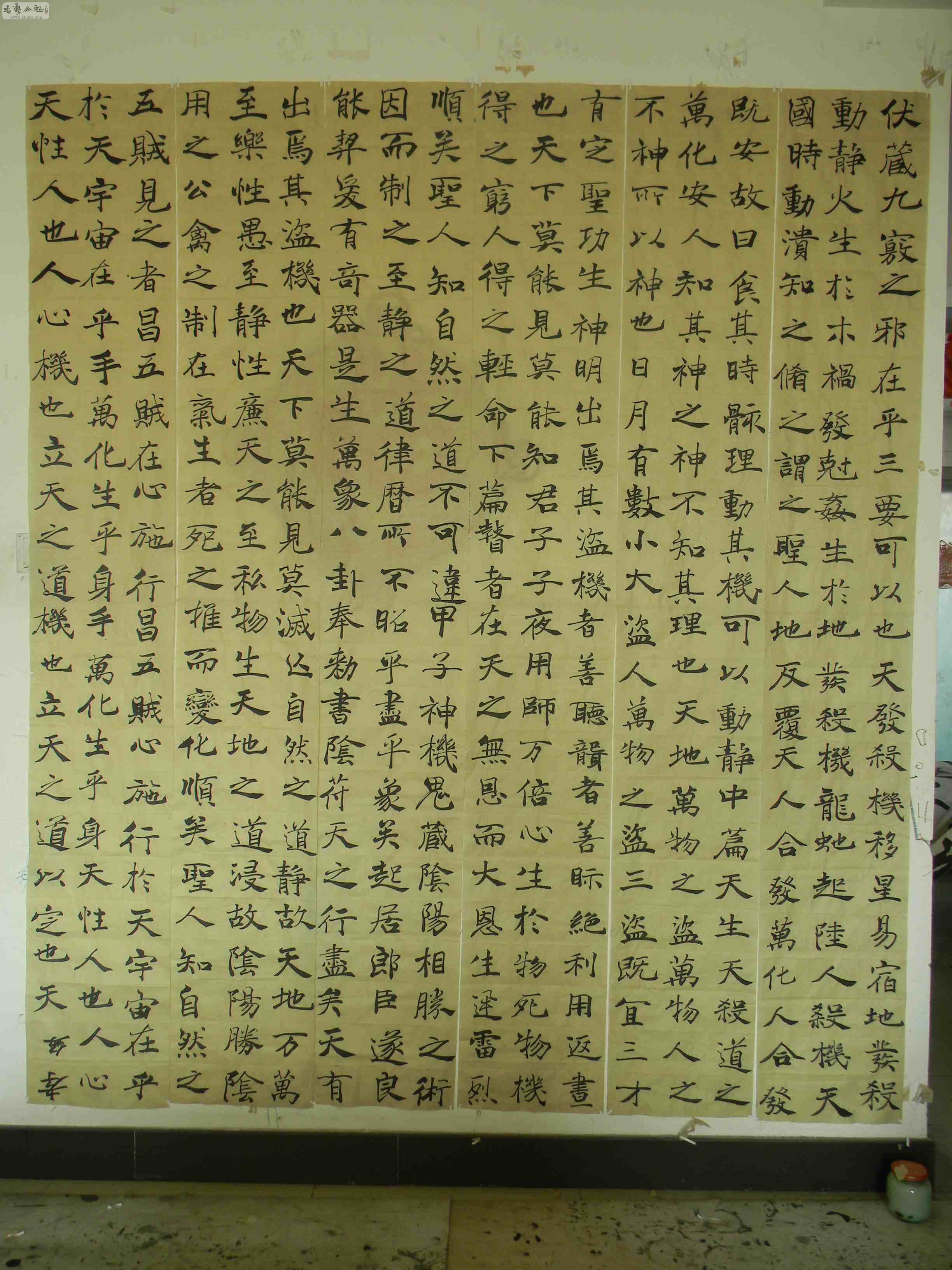 DSCN1655.JPG