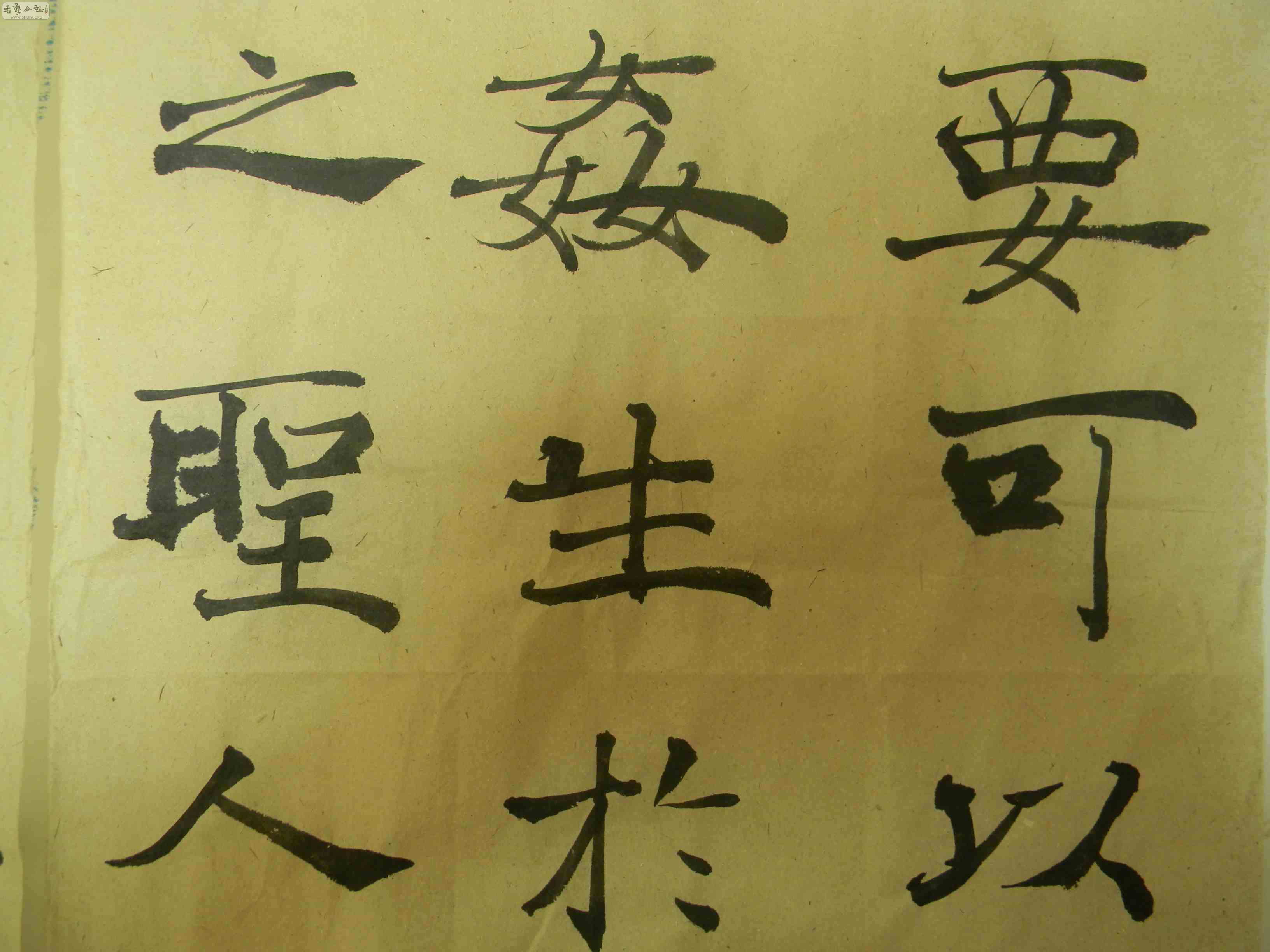 DSCN1661.JPG