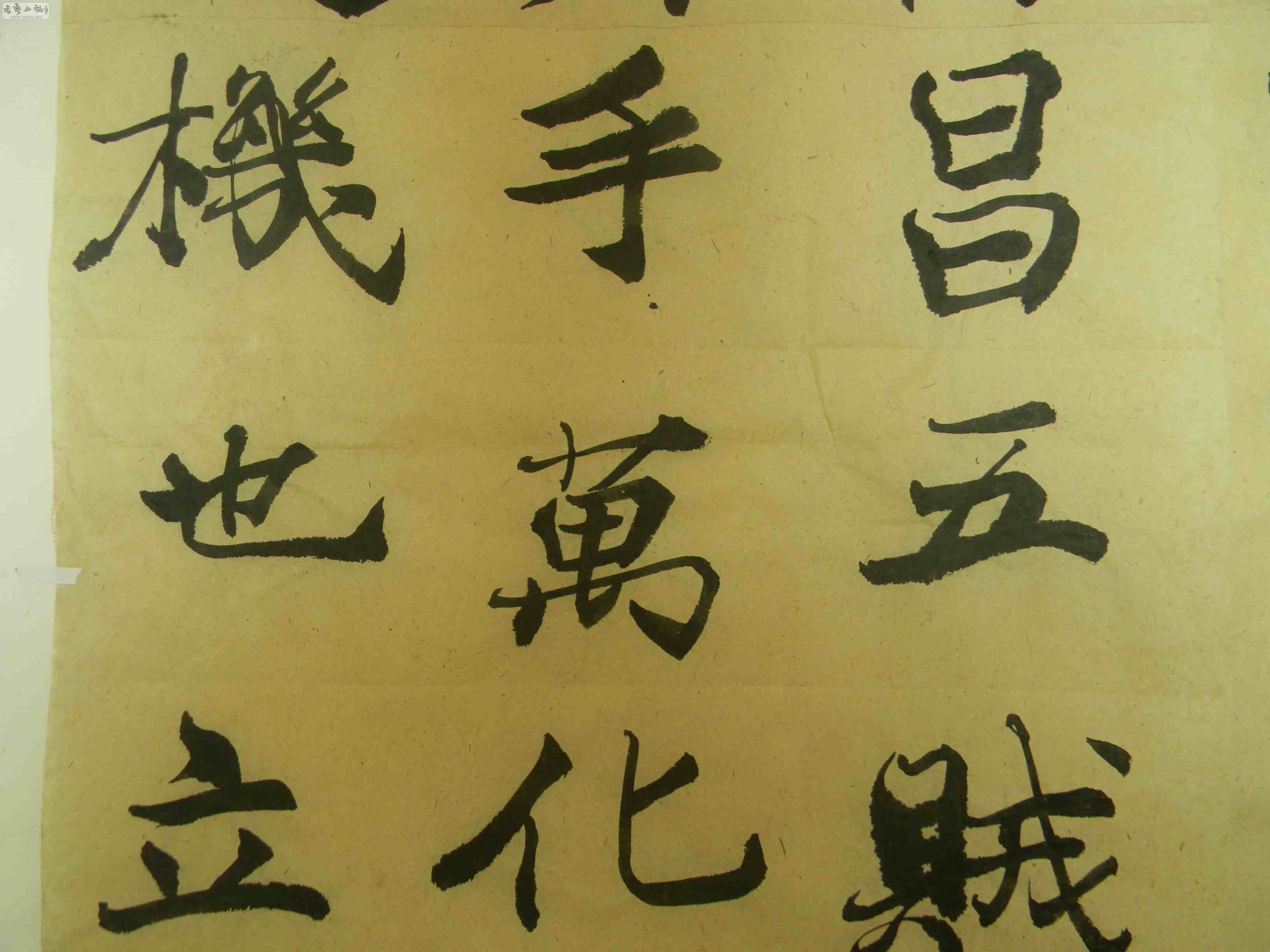 DSCN1668.JPG