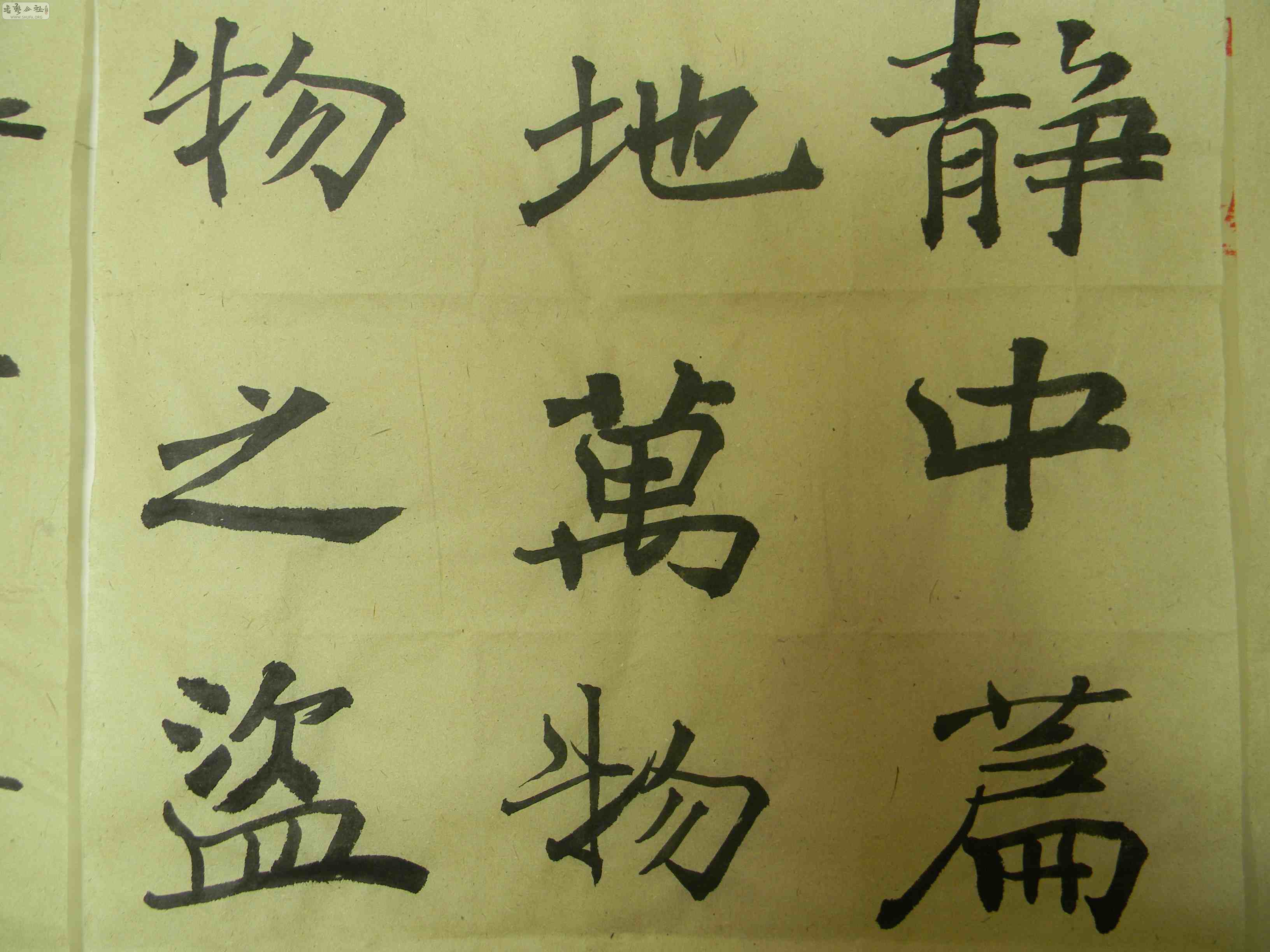 DSCN1675.JPG