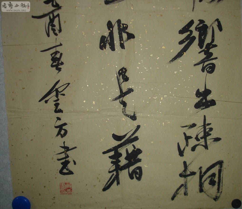 DSC02379.jpg