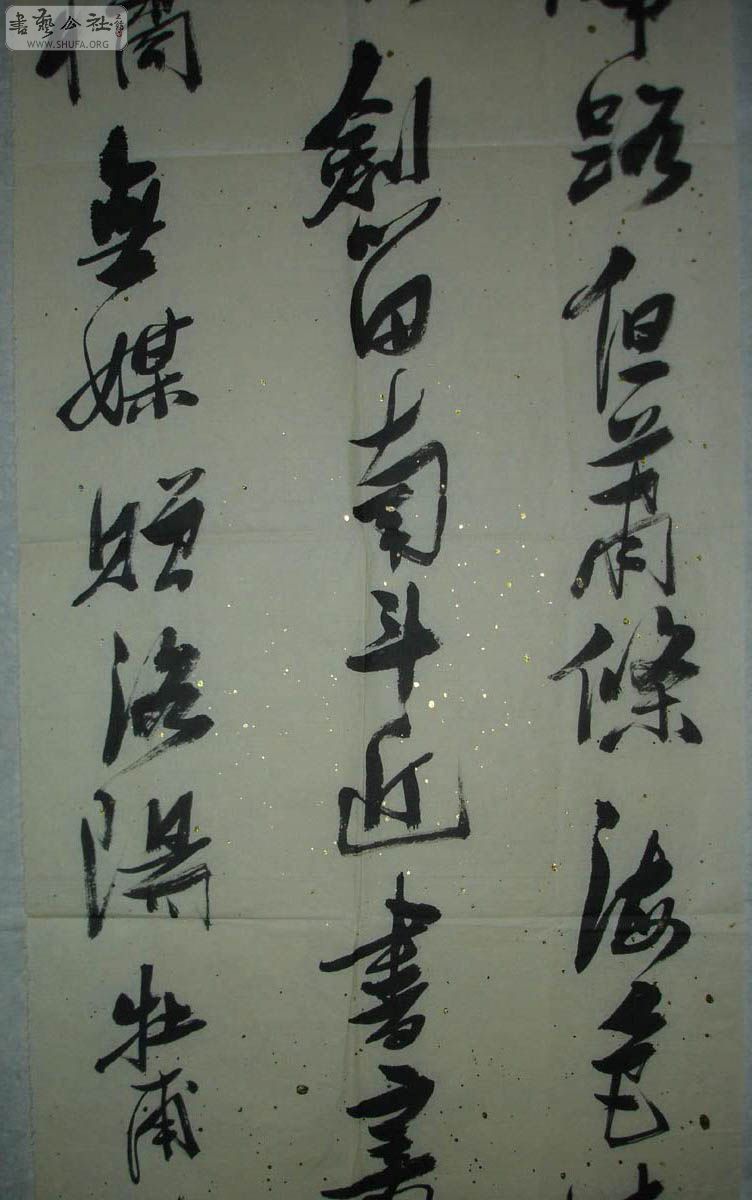 DSC02391.jpg