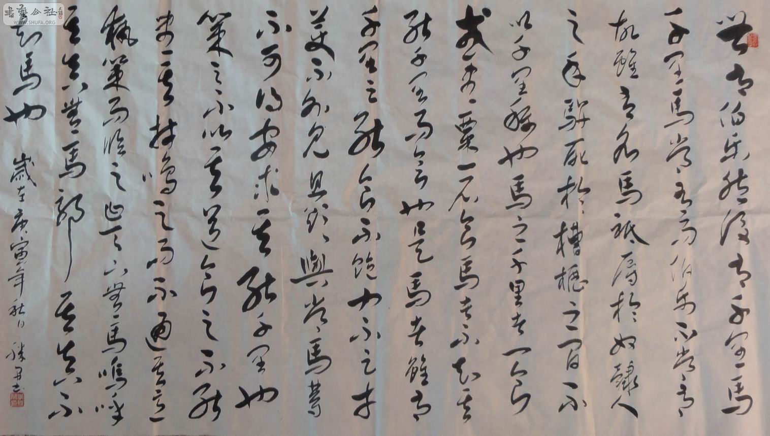 DSC00912.jpg
