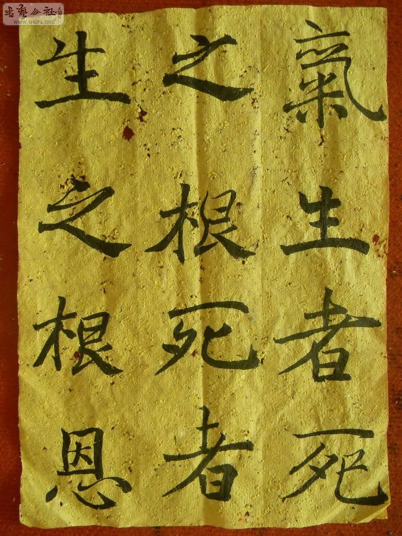 DSCN1554.jpg