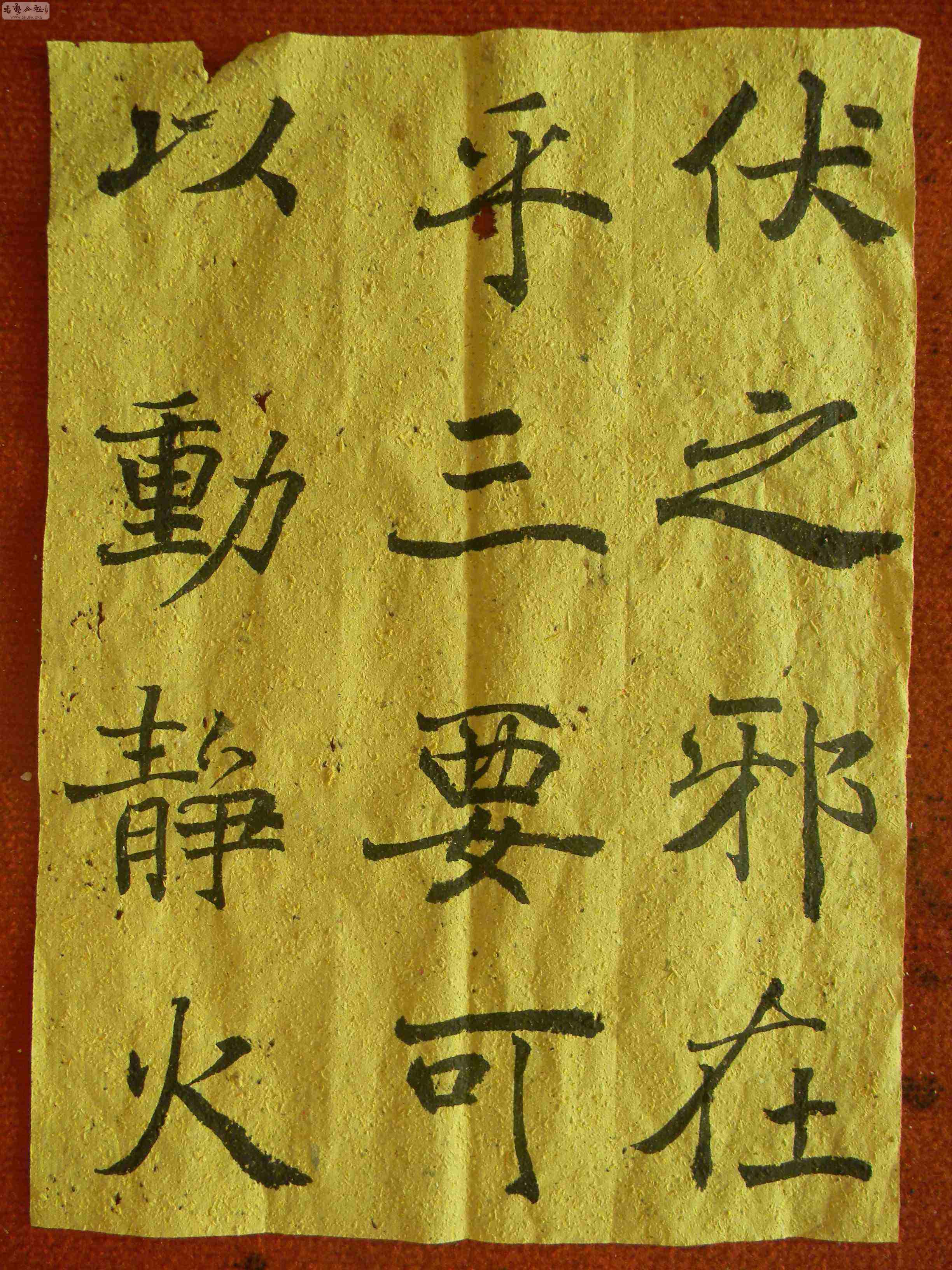 DSCN1580.jpg