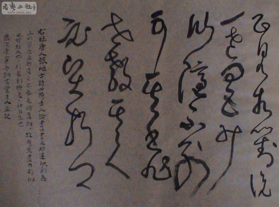 DSC01373.JPG