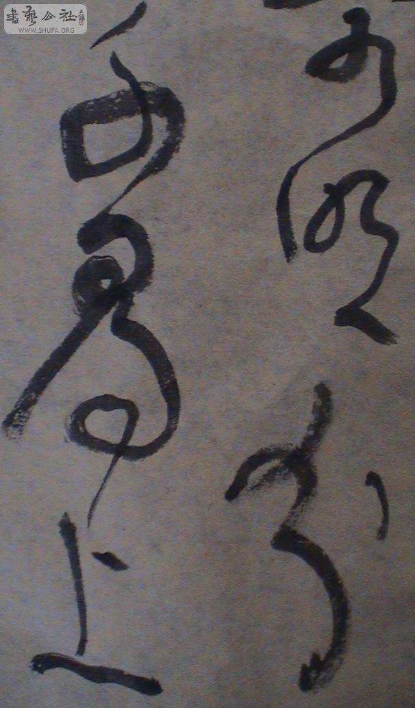 DSC01385.JPG