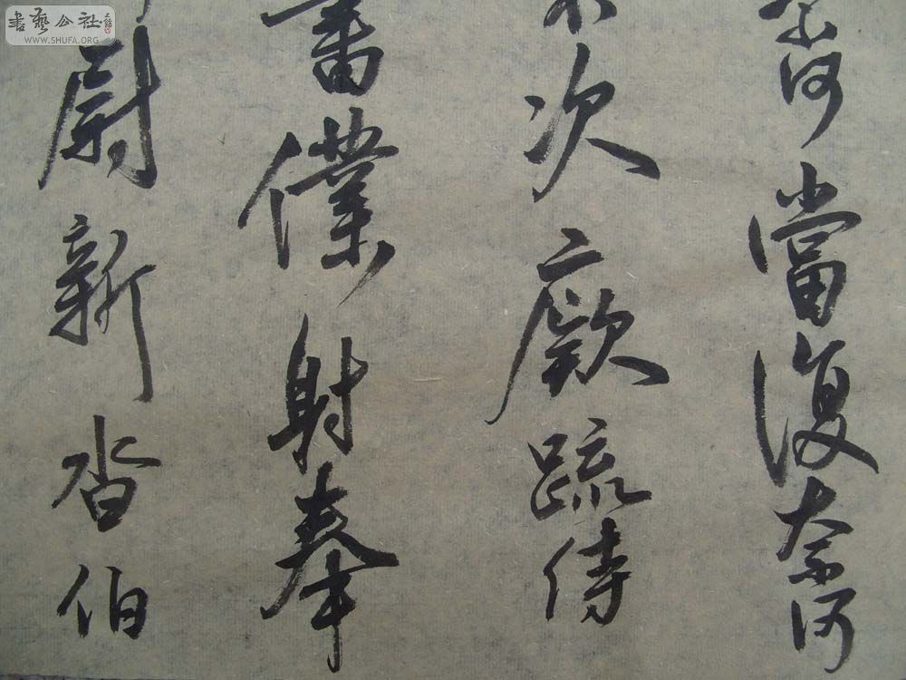 S1054363.JPG