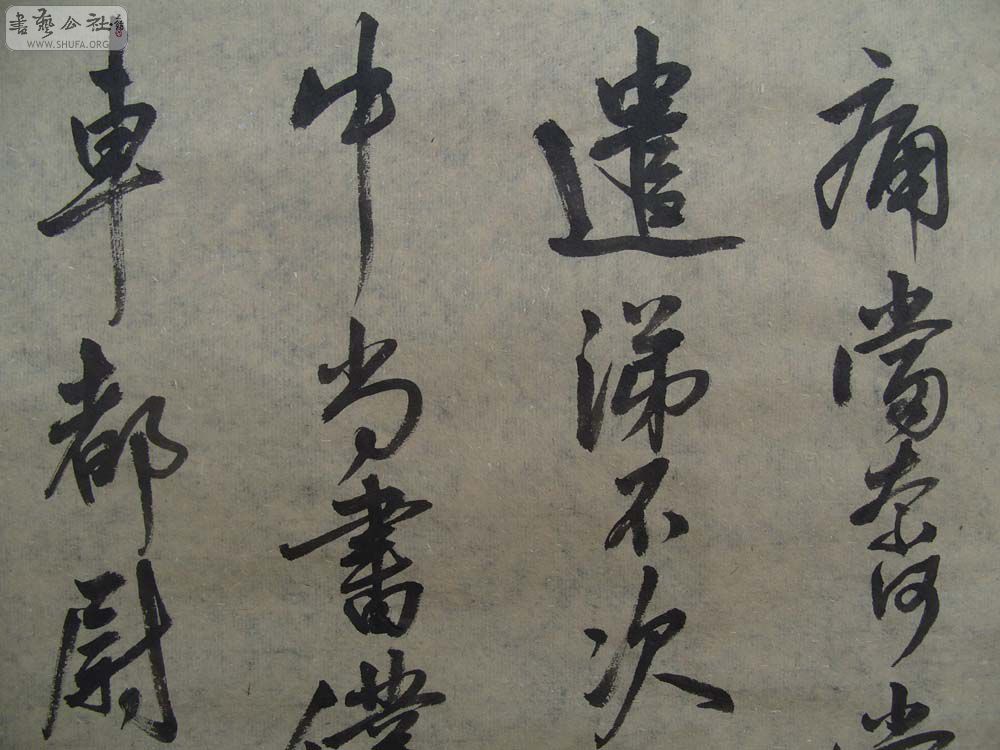 S1054362.JPG