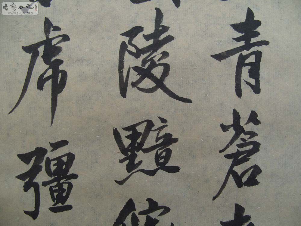 S1054379.JPG