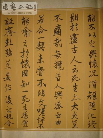 DSC08416-1.jpg