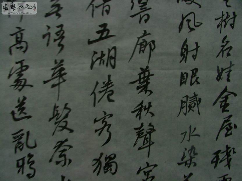 DSCF6028.JPG