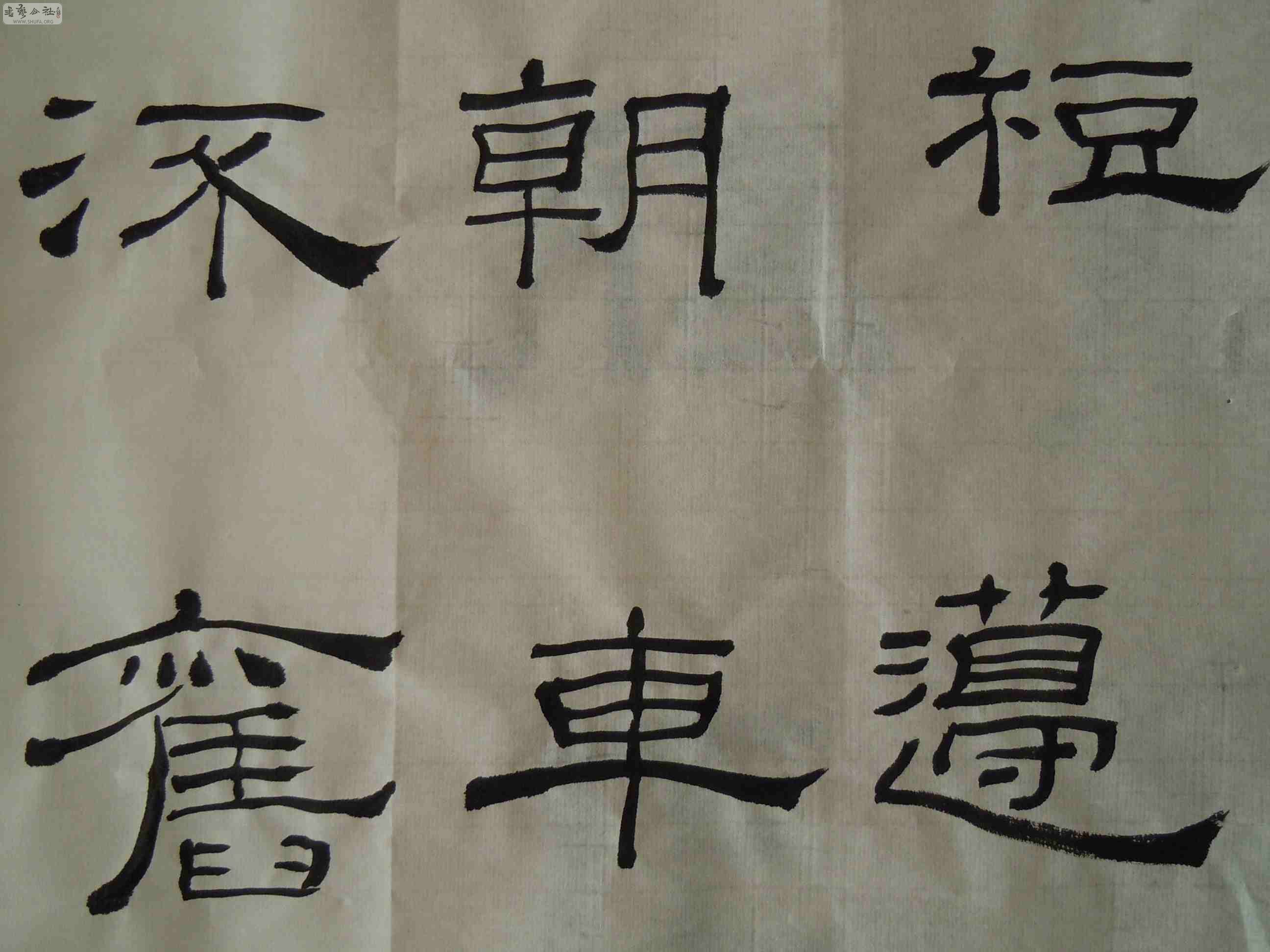 DSCN0800.JPG
