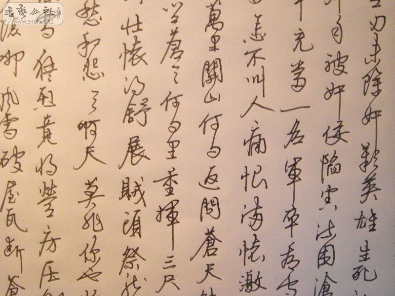 DSC03275.jpg