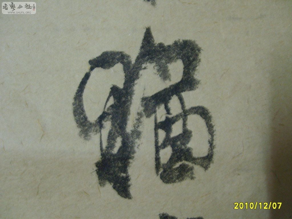 S6002119.JPG