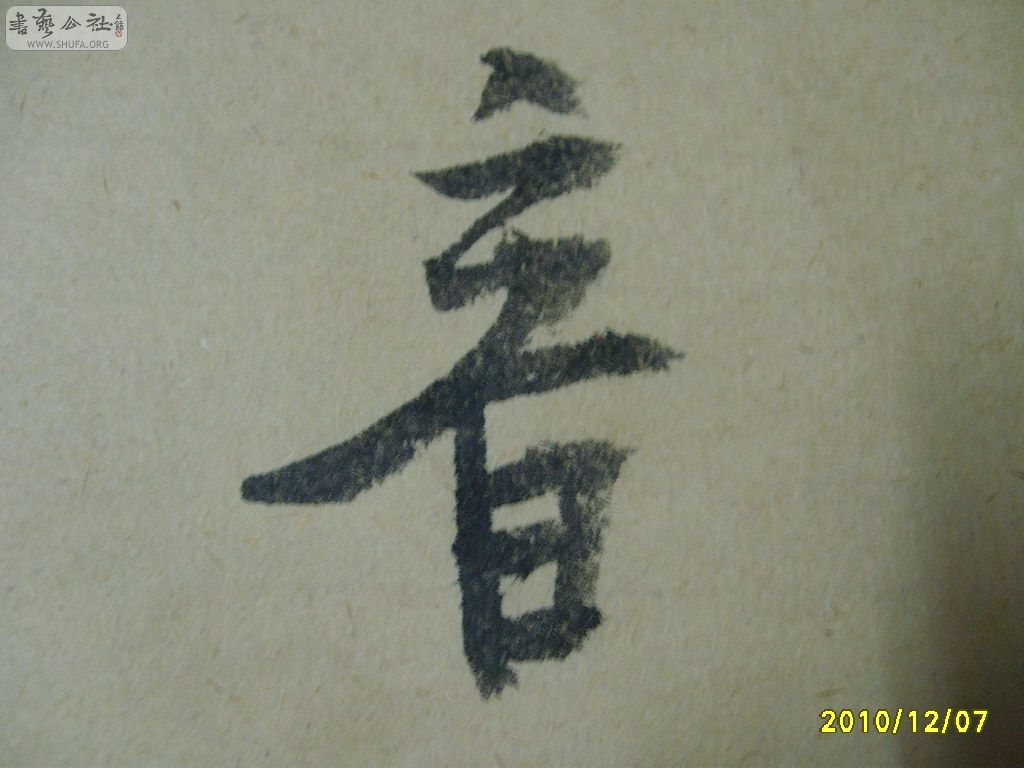 S6002117.JPG