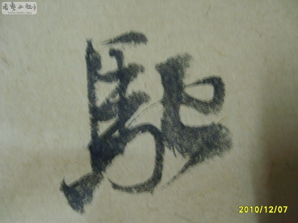 S6002125.JPG