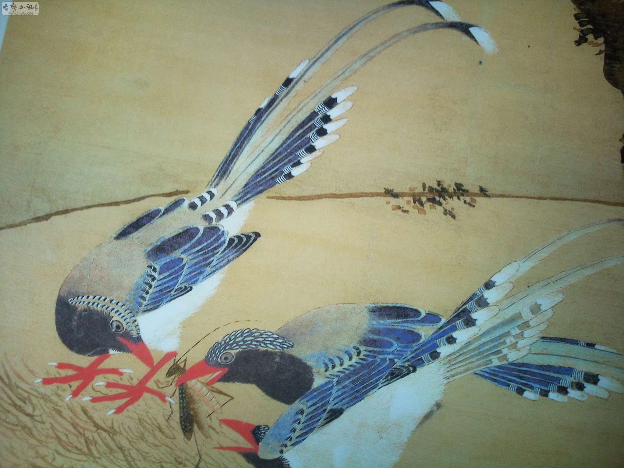 Ƭ0871.jpg