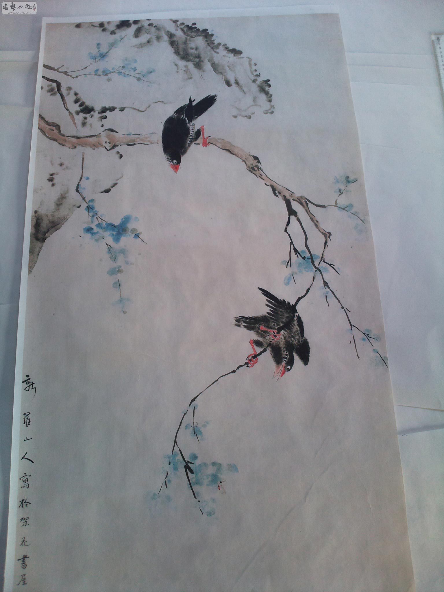 Ƭ0891.jpg