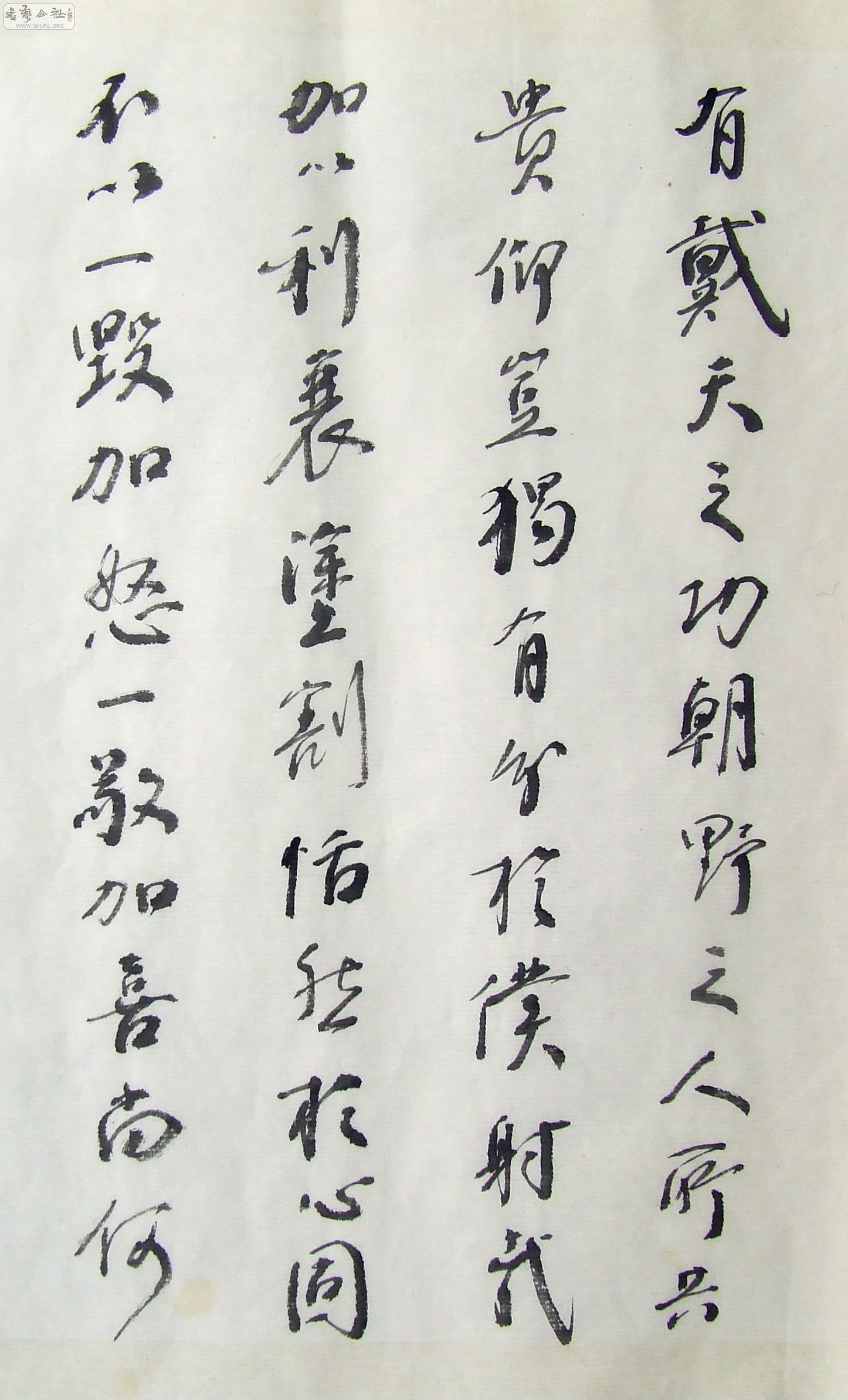 DSCF9911.JPG