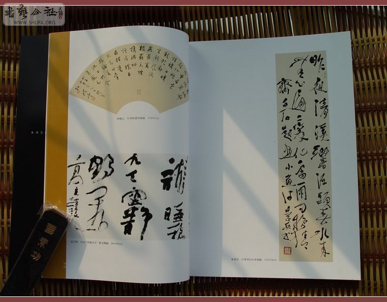 DSC02862.JPG