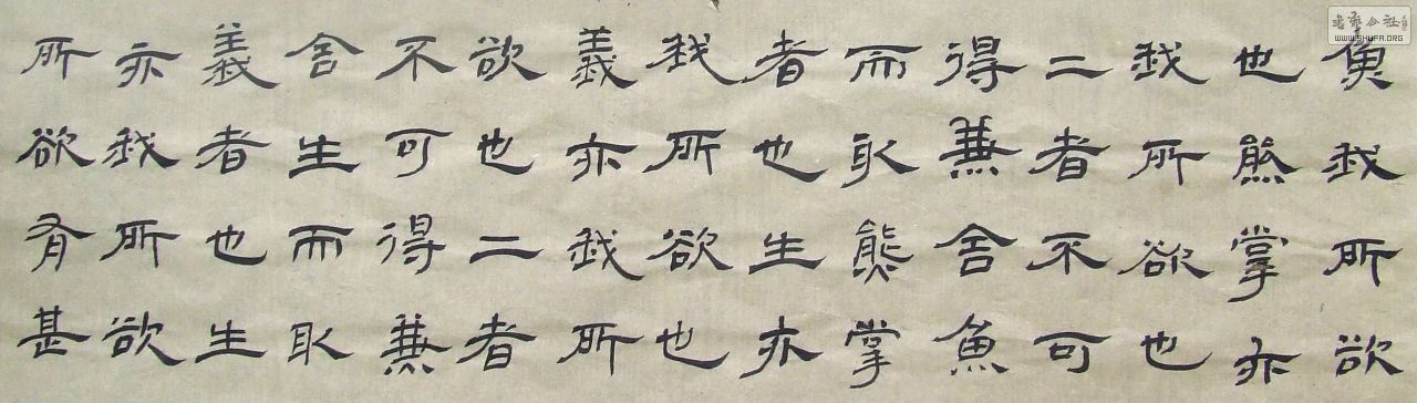 DSCF4142.JPG