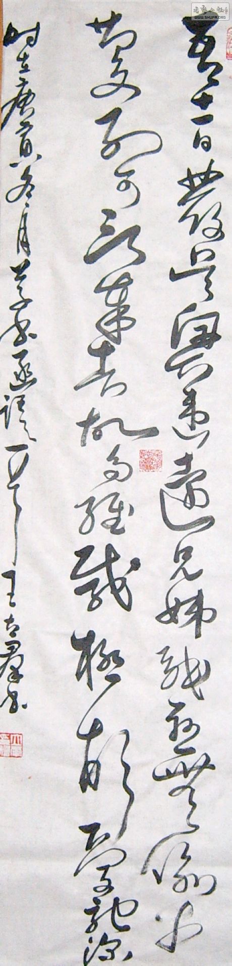 SUC52859.JPG