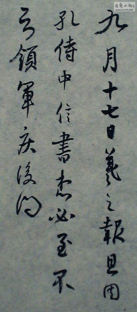 DSC01464_conew1.JPG