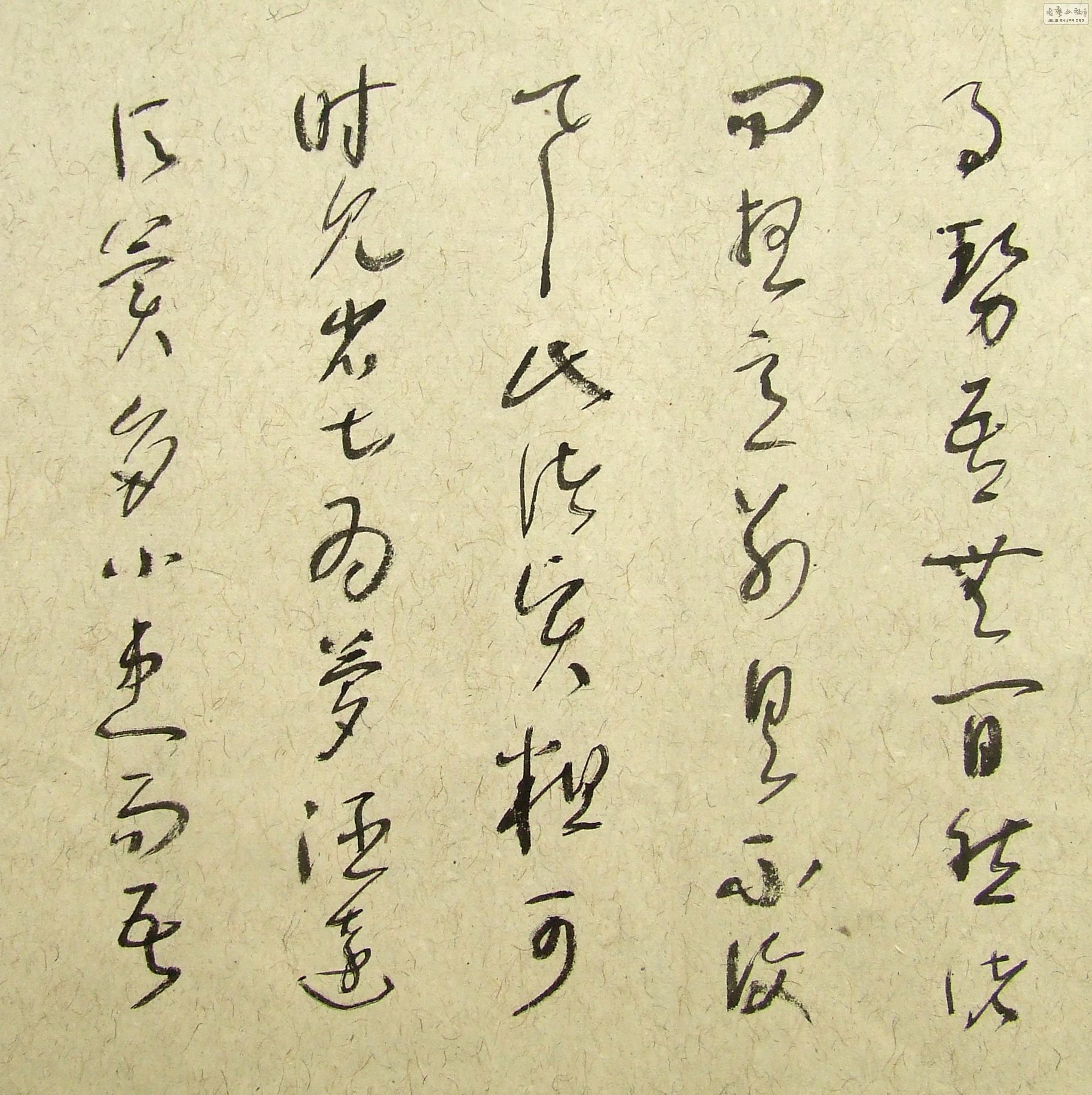 DSCF9880.JPG