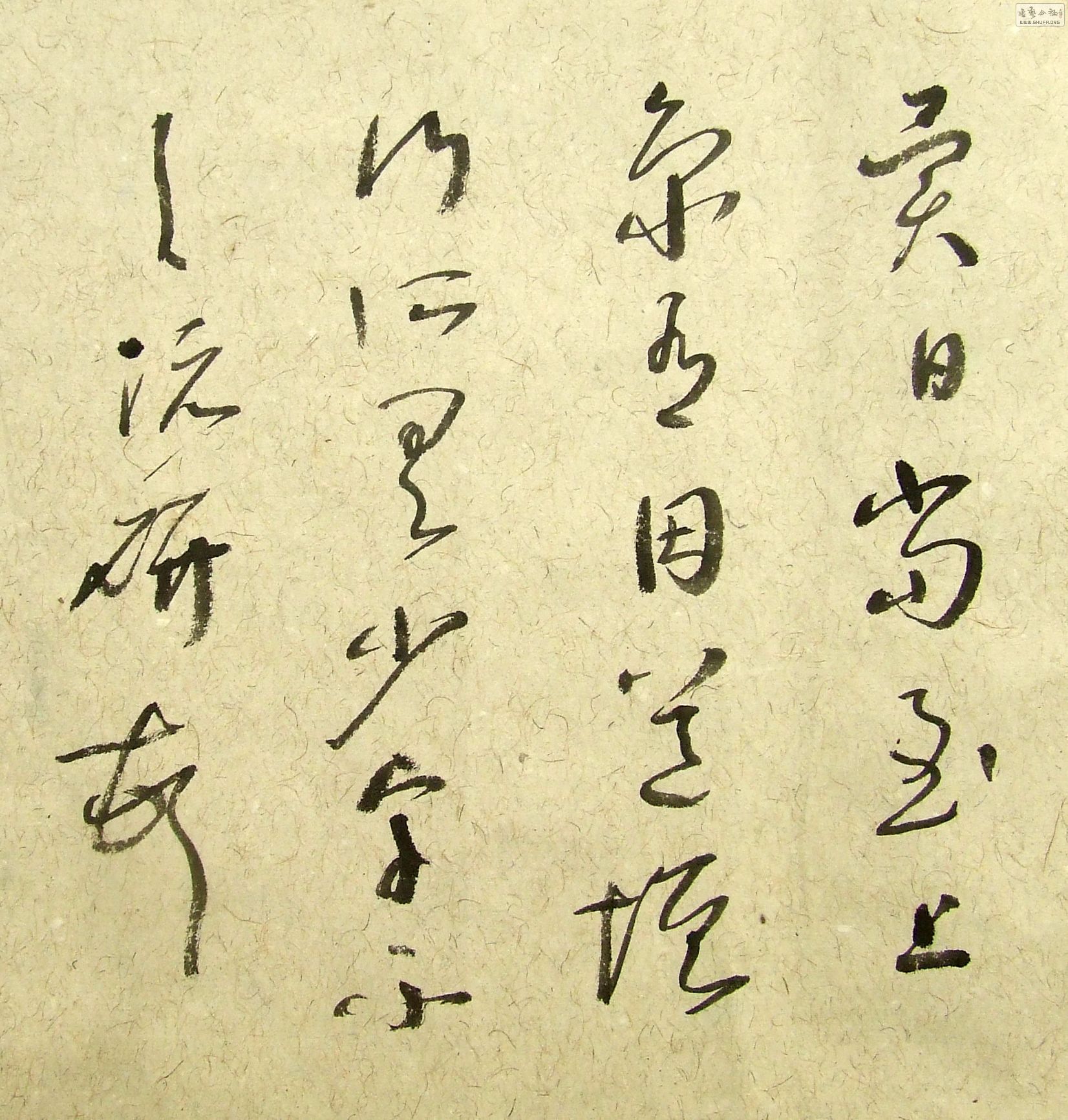 DSCF9877.JPG