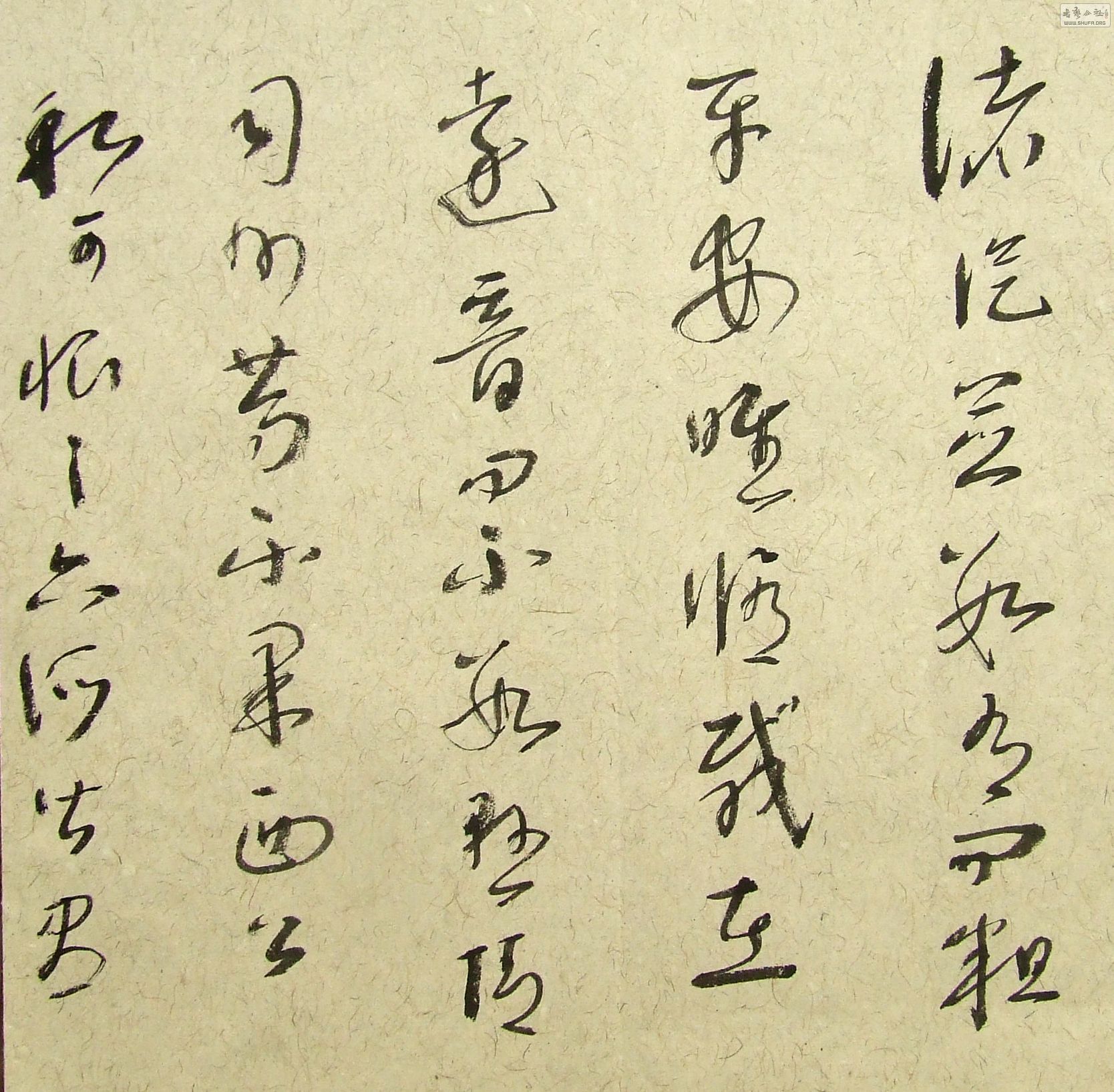 DSCF9881.JPG
