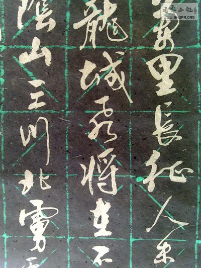20101221402-.JPG
