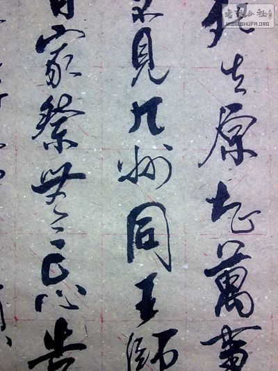 20101225422.jpg